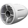 Wet Sounds Rev10 HD-W contoured housing 