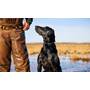 Garmin Delta® SE Bundle Other