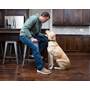 Garmin Delta® SE Dog Collar Other