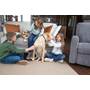 Garmin Delta® SE Dog Collar Other