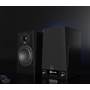SVS Prime Wireless Pro The master and passive speaker, shown together. The master speaker features an OLED display