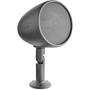 Focal Littora OD Sat 5 Articulated surface mount included