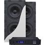 SVS 3000 In-wall Dual Subwoofer System Pair of enclosures with dual 9" woofers and a matching amplifier