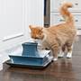 PetSafe Drinkwell® Ceramic Pagoda Other