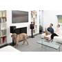 MartinLogan Motion Foundation B2 Second bookshelf speaker sold separately