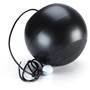 OSD Sphere6 Black golf ball shown for scale 