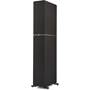 Definitive Technology Dymension DM70 Front