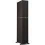 Definitive Technology Dymension DM70 Angled right