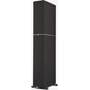 Definitive Technology Dymension DM80 Front