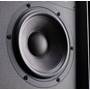 Wharfedale Super Denton Close-up of the 6-1/2