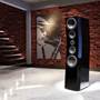 SVS Ultra Evolution Pinnacle Other