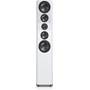 SVS Ultra Evolution Titan 1" tweeter, dual midrange drivers, and a quad woofer array