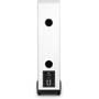 MoFi Electronics SourcePoint 888 Back