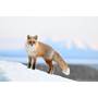 Nikon Z 6III Zoom Lens Kit Sample image provided by Nikon