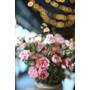 Nikon NIKKOR Z 35mm f/1.4 Sample photo illustrates the shallow depth-of-field at wide apertures