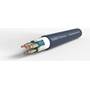 IsoTek EVO3 Premier (0.5m) Core detail