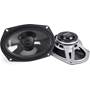 Cicada Audio CM69.4X These 6"x9" speakers can withstand the elements