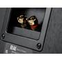 ELAC Debut 3.0 DB63 A closer look at the DB63-BK's speaker terminals