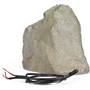 Paradigm Rock Monitor™ 60-SM Back