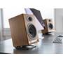 Audioengine DS2M (speakers not included)
