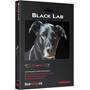AudioQuest Black Lab Other