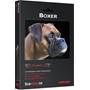 AudioQuest Boxer Other