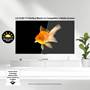 LG OLED55G5WUA Improved performance in bright rooms