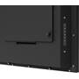 SunBrite™ SB-FS-75-BL Back (angle)