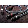 SVS SoundPath XLR Color-coded — red for right channel, white for left