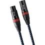 SVS SoundPath XLR Front