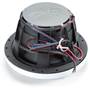 Wet Sounds REVO 8-SWW V3 Back