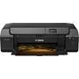 Canon PIXMA PRO-200S Create high-quality color photo prints at home