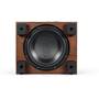 REL Classic 98 10" down-firing woofer