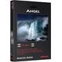 AudioQuest Angel Other