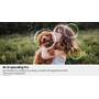 Samsung QN77S90F 4K AI Upscaling Pro enhances standard-def and high-def video signals for optimum display on a 4K screen