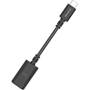 AudioQuest DragonTail USB-C Adapter Front