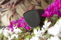Add low-profile, high-energy sound to your next garden party with Acoustascape AS4 speakers.