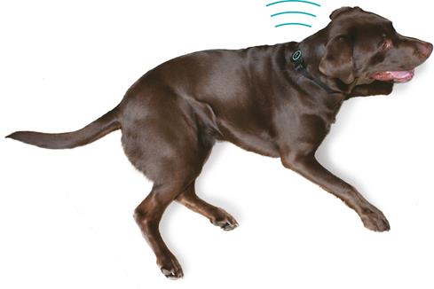 Pet Acoustics Ultra Calmer