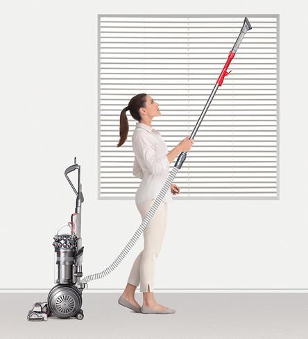 The Dyson Big Ball Animal + Allergy vacuum sucks up allergens wherever they hide.