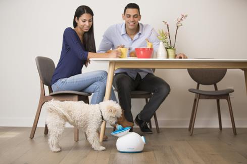 iFetch lets you enjoy grown-up human time while your pup gets in a rousing game of "fetch."