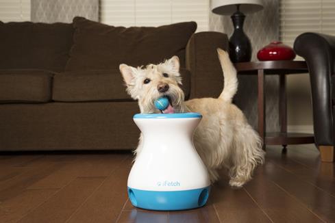 Teach your pooch to reload the Frenzy, and he'll have hours of fun.