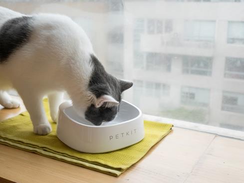 The PetKit Fresh bowl has antibacterial properties that help keep your pet healthy.