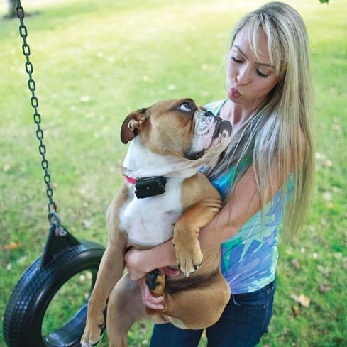 Teach your tenacious friend to stay safe in his own yard with the PetSafe Stubborn Dog In-ground Fence.