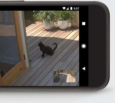 The Nest Cam IQ Outdoor camera lets you check in at home via a free app on your smartphone.