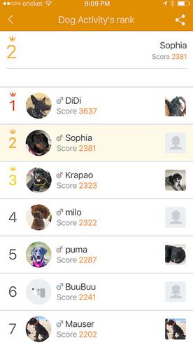 The PetKit app shows how our canine coworker Sophia stacks up against her peers.