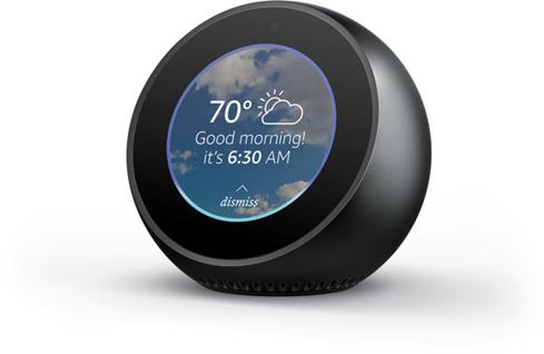 The Echo Spot