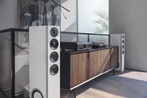 Definitive Technology Demand D15 floor-standing speakers