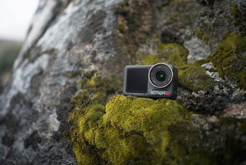 On a rock