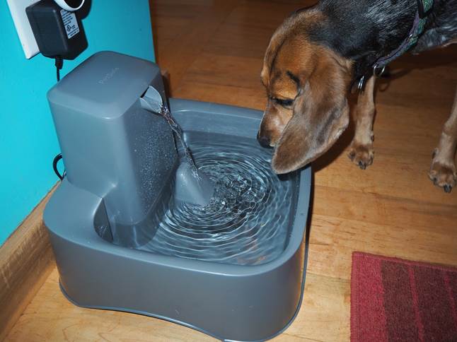 petsafe drinkwell 2 gallon dog and cat water fountain