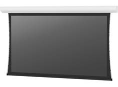 Da-Lite Projector Screens